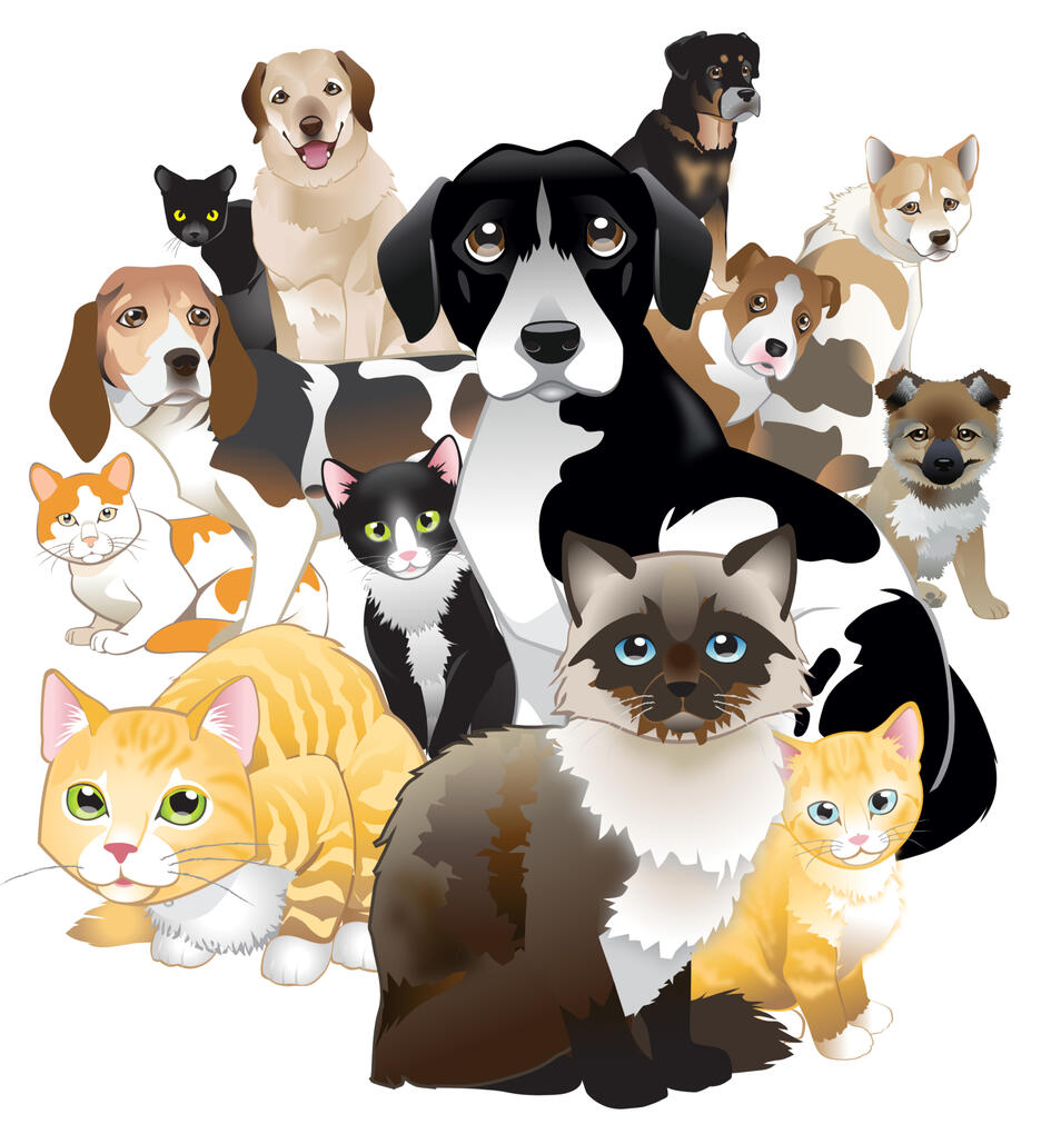 Illustration composed of assorted dogs and cats