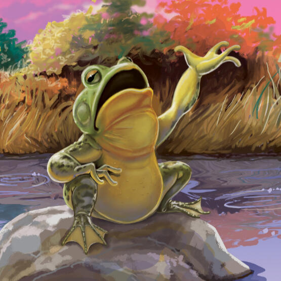 Singing Frog Illustration of a fat frog on a rock in a pond, singing to bring the stars out in the evening.